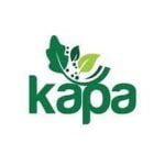 Kapa